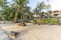 a sandy beach near some houses under some trees and some sand and rocks with palm trees in the background