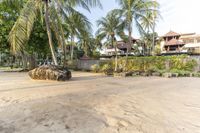 two elephant and an elephant on the beach near some palm trees and an old building