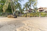 two elephant and an elephant on the beach near some palm trees and an old building