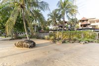 two elephant and an elephant on the beach near some palm trees and an old building