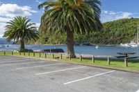 Picton Foreshore Reserve: A Coastal Landscape