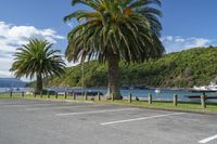 Picton Foreshore Reserve: A Coastal Landscape