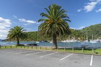 Picton Foreshore Reserve: A Coastal Landscape