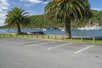 Picton Foreshore Reserve: A Coastal Landscape