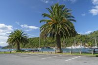 Picton Foreshore Reserve: A Coastal Landscape