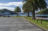 palm trees line the empty parking lot in a marina area of a small island near a boat dock