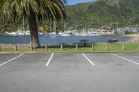 Picton, New Zealand Scenic View