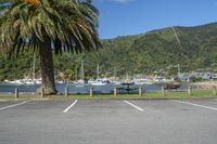 Picton, New Zealand Scenic View