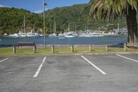 Picton, New Zealand Scenic View