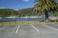 Picton, New Zealand Scenic View 006