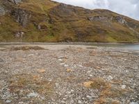 there is a large body of water on the shore of the beach with rocks and small grass