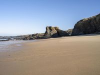 Picturesque Coast in Portugal with Wood Bedrock Formation