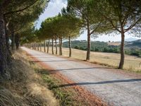 Picturesque Dirt Road in Tuscany, Italy 003