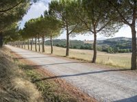 Picturesque Dirt Road in Tuscany, Italy