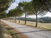 Picturesque Dirt Road in Tuscany, Italy