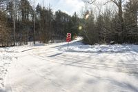 Picturesque Forest Road in Canada on a Winter Day