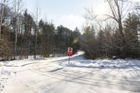 Picturesque Forest Road in Canada on a Winter Day