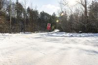 Picturesque Forest Road in Canada on a Winter Day