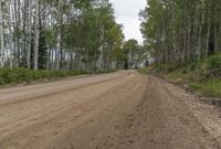a dirt road surrounded by tall trees and a small house in the distance, with sky overcast skies