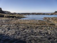 Picturesque Landscape of a Coastal Watercourse in Portugal, Europe