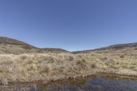 grassy area with water and dry grass around it and hills in the distance behind it