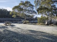 Picturesque Landscape in New South Wales, Australia