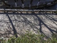 there are many shadows and some trees on the concrete street with one boat parked in front