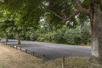 Picturesque Parking Lot in Green Landscape