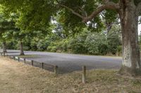 Picturesque Parking Lot and Green Landscape 003