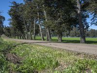 Picturesque Road in California with Clear Sky