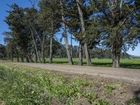 Picturesque Road in California with Clear Sky 002