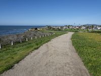 Picturesque Road View of California Coast Nature