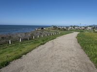 Picturesque Road along California Coast: A Nature View