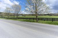 a horse in a pasture next to a road and two fences with sheep grazing in the distance