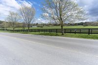 a horse in a pasture next to a road and two fences with sheep grazing in the distance