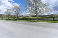 a horse in a pasture next to a road and two fences with sheep grazing in the distance