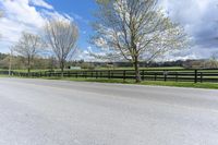 a horse in a pasture next to a road and two fences with sheep grazing in the distance