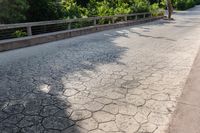 Picturesque Road in Solidaridad, Mexico Landscape 002