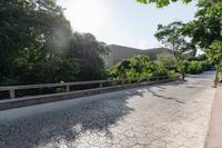 Picturesque Road in Solidaridad, Mexico Landscape-004