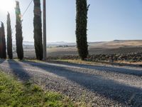 the road is surrounded by green trees and the sun shines brightly behind them - a blue sky, a gravel path with green grass, a small hill in the middleground, and the foregrounds and a row of cypress trees in the background