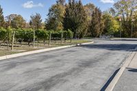 a paved roadway in an empty field area with parked bikes on either side of it