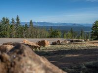 the mountains are visible in the distance from this wide, empty road, overlooking a wide landscape and forest