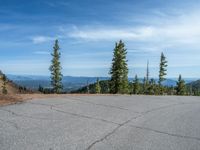 the curved road is near an evergreen mountain side area with rocks and trees in winter