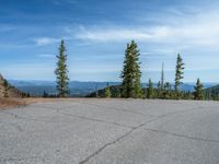 the curved road is near an evergreen mountain side area with rocks and trees in winter