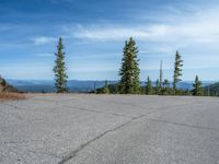 the curved road is near an evergreen mountain side area with rocks and trees in winter