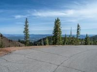 the curved road is near an evergreen mountain side area with rocks and trees in winter