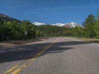 an empty road with lots of trees in the background in the wild region of colorado