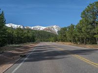 an empty road with lots of trees in the background in the wild region of colorado