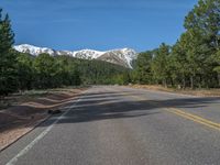 an empty road with lots of trees in the background in the wild region of colorado