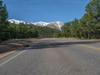 an empty road with lots of trees in the background in the wild region of colorado